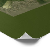 Victoriaans Style White Hydrangea Flowers Poster (Hoek)