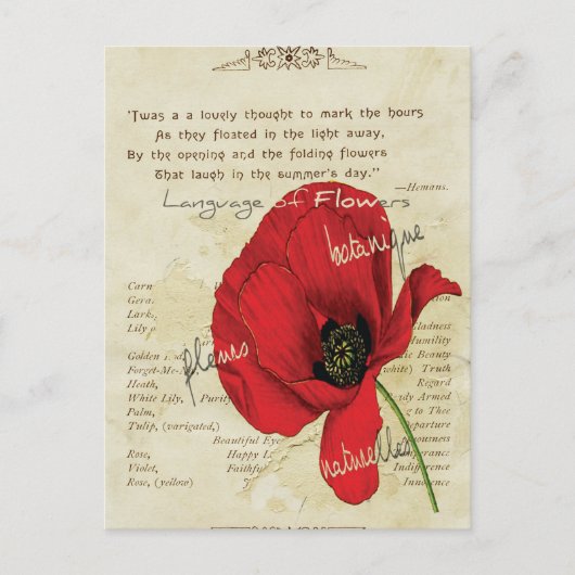 Victoriaans taal van bloemen briefkaart (Voorkant)