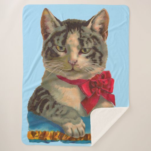 Victoriaans tabby kattenprint sherpa deken (Voorkant)