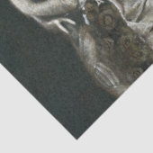 Victoriaans themapapier van Peacock Tissuepapier (Detail)