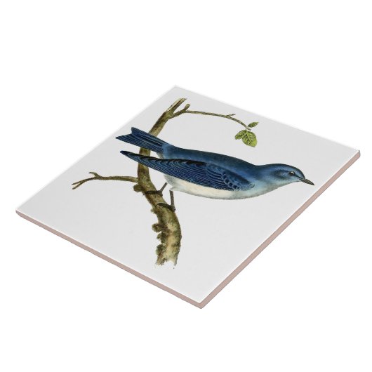  Victoriaans tijdperk 1825 Blauwvogelkunst Tegeltje (Zijkant)