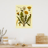 Victoriaans tijdperk 1887 Dandelion botanische ku Poster (Keuken)