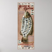 Victoriaans tijdperk 50 Vis Poster (Voorkant)