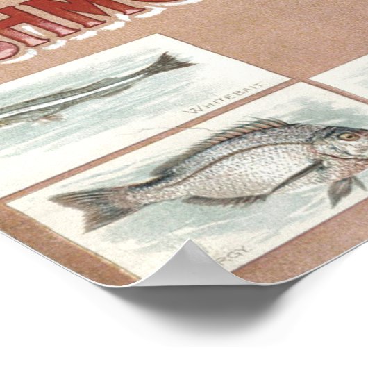 Victoriaans tijdperk 50 Vis Poster (Hoek)