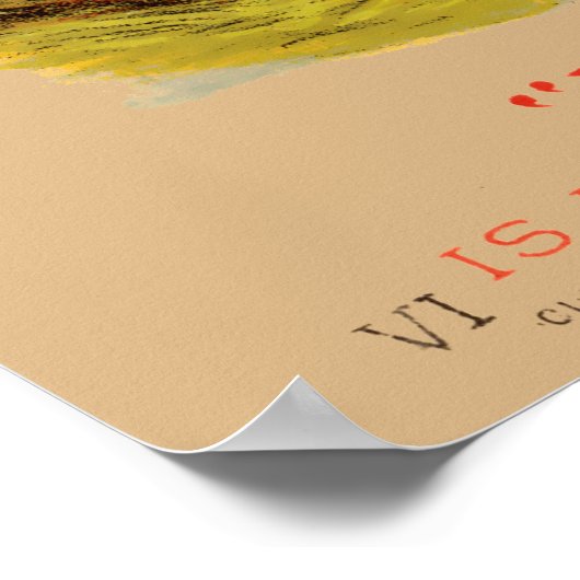 Victoriaans tijdperk kat & Baby eenden zeep advert Poster (Hoek)