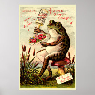 Victoriaans tijdperk kikker op paddestoel parfumad poster