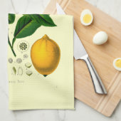  Victoriaans tijdperk Lemon Botanische illustratie Theedoek (Quarter Fold)