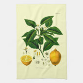  Victoriaans tijdperk Lemon Botanische illustratie Theedoek (Verticaal)