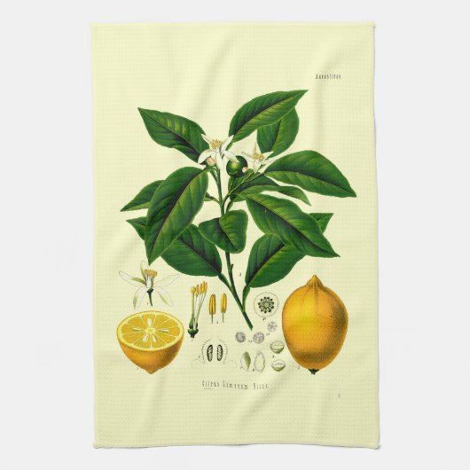  Victoriaans tijdperk Lemon Botanische illustratie Theedoek (Verticaal)