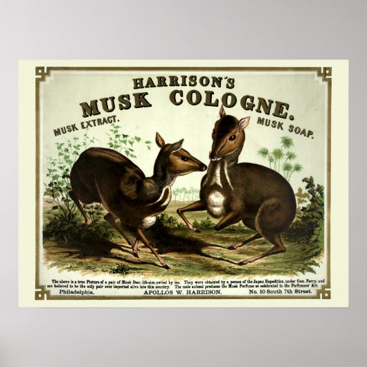 Victoriaans tijdperk Musk zeep advertentie Poster (Voorkant)