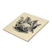  Victoriaans tijdperk Plantaardige bloemkool Tegeltje (Zijkant)