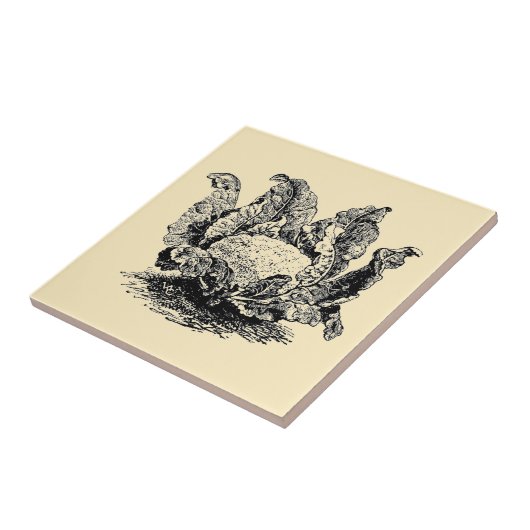  Victoriaans tijdperk Plantaardige bloemkool Tegeltje (Zijkant)