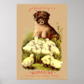 Victoriaans tijdperk puppy & Baby chicks zeep adve Poster (Voorkant)