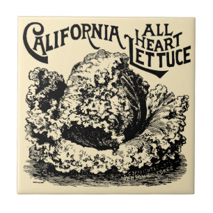  Victoriaans tijdperk van groenten en fruit Tegeltje