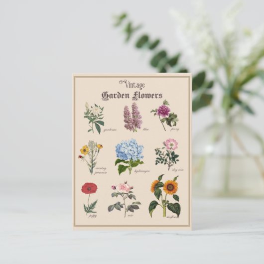  Victoriaans Tuinbloem Bloemen Briefkaart (Staand voorkant)