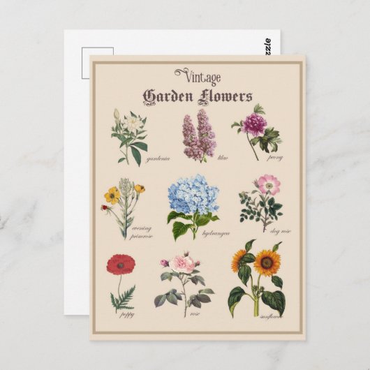  Victoriaans Tuinbloem Bloemen Briefkaart (Voorkant / Achterkant)