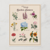  Victoriaans Tuinbloem Bloemen Briefkaart (Voorkant)