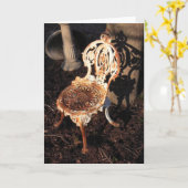 Victoriaans tuinstoel kaart (Gele Bloem)