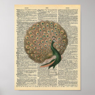 Victoriaans vintage woordenboek pagina pauw poster