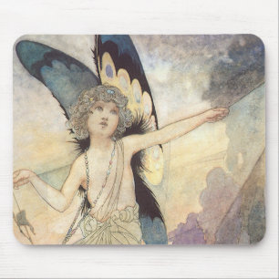 Victoriaans vlinder met Robinson Muismat