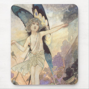 Victoriaans vlinder met Robinson Muismat