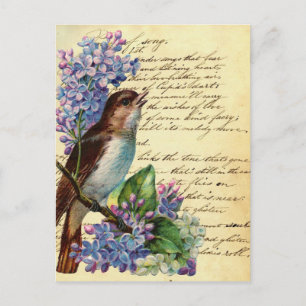 Victoriaans vogel en typografie I Briefkaart