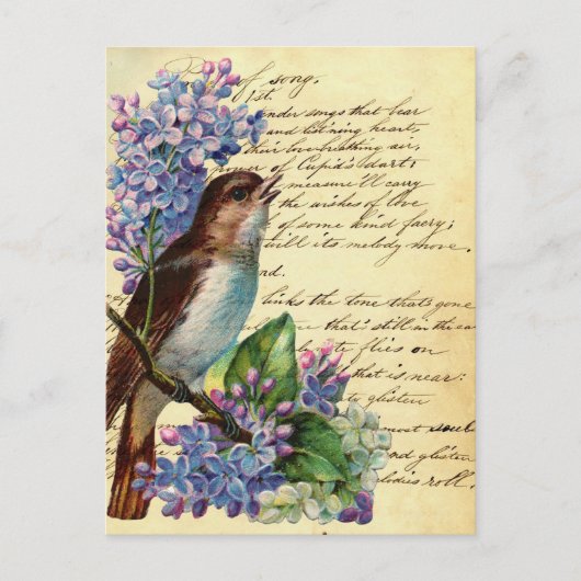 Victoriaans vogel en typografie I Briefkaart (Voorkant)