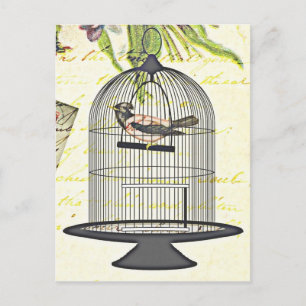 Victoriaans vogel in kooien Woordenontwerp Briefkaart