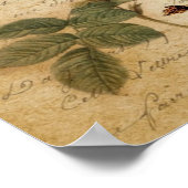 Victoriaans vogel Parijs Botanisch Roos Poster (Hoek)