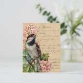 Victoriaans vogelillustratie 2 briefkaart (Staand voorkant)