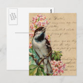 Victoriaans vogelillustratie 2 briefkaart (Voorkant / Achterkant)
