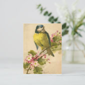 Victoriaans vogelillustratie briefkaart (Staand voorkant)