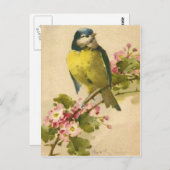 Victoriaans vogelillustratie briefkaart (Voorkant / Achterkant)