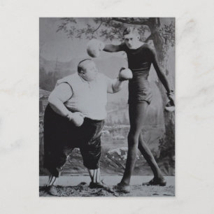 Victoriaans vogelvet en Skinny Boxer Briefkaart