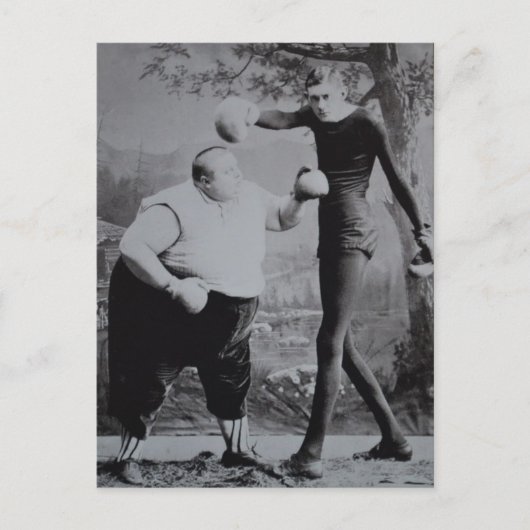 Victoriaans vogelvet en Skinny Boxer Briefkaart (Voorkant)