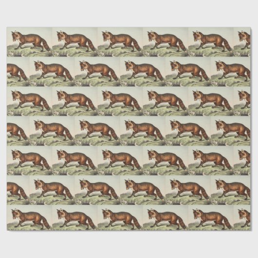 Victoriaans vos Cadeaupapier (Vlak)