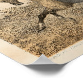  Victoriaans Vrouw Paardenkunst 1857 Poster (Hoek)