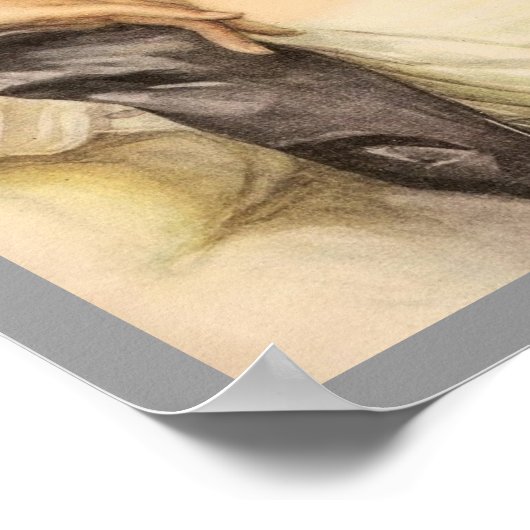 Victoriaans vrouw poster (Hoek)