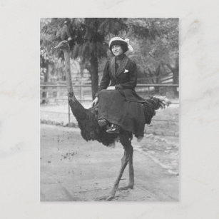 Victoriaans Vrouw Reubelen Ostrich Briefkaart