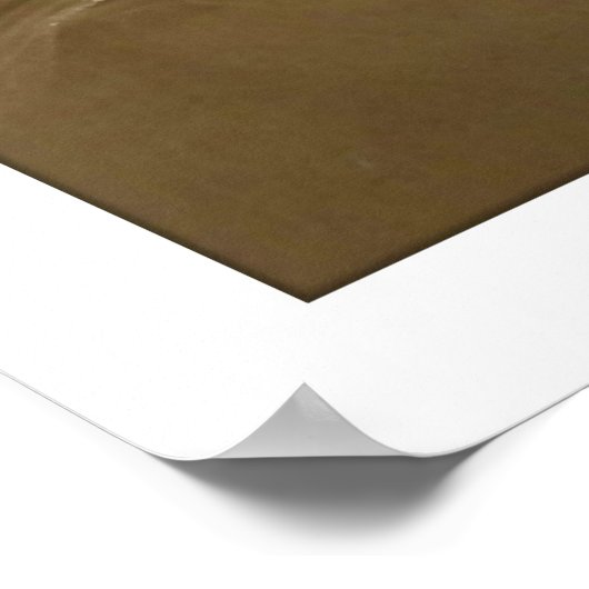 Victoriaans vrouwenhaar in kralen en sjaal poster (Hoek)