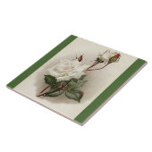 Victoriaans witte rozen groene keramische tegel tegeltje (Zijkant)