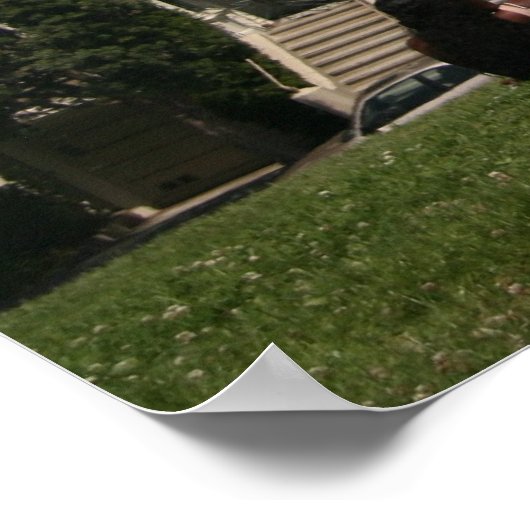 Victoriaans woningen poster (Hoek)