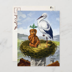 Victoriaans wortelBaby in een nestBriefkaart Briefkaart