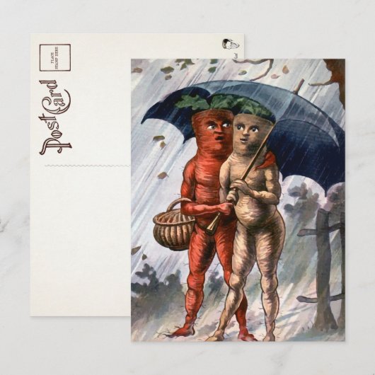 Victoriaans wortelen in het Rijnse Briefkaart (Voorkant / Achterkant)