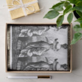 Victoriaans zwarte en witte Modes Tissuepapier (Geschenk)
