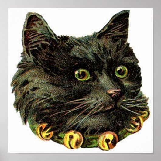 Victoriaans zwarte kat met klokband poster (Voorkant)