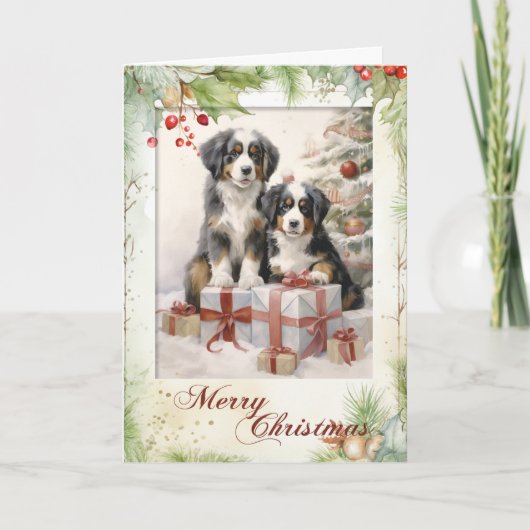 Victoriaanse Berner Sennenhond Kerstmis Feestdagen Kaart (Voorkant)