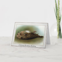 Victoriaanse Dode Vogel Kerstmis