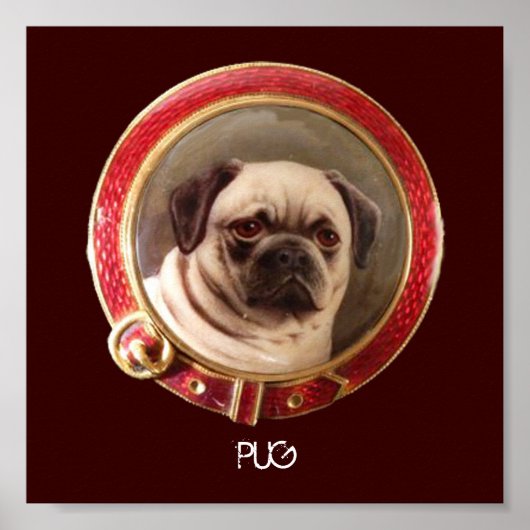 VICTORIAANSE MINIATUUR HOND PORTRETTEN Pug Poster (Voorkant)