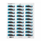 Victoriaanse Onderzeeboot Arctische Avontuur Etiket (Full Sheet)